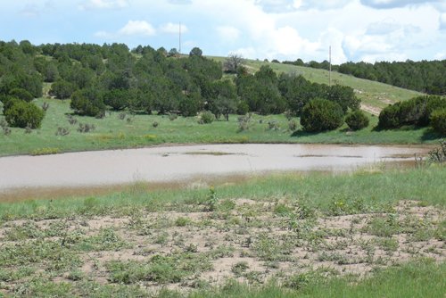 Property photo 13 - 7,320 Acres Offered in 5 Tracts